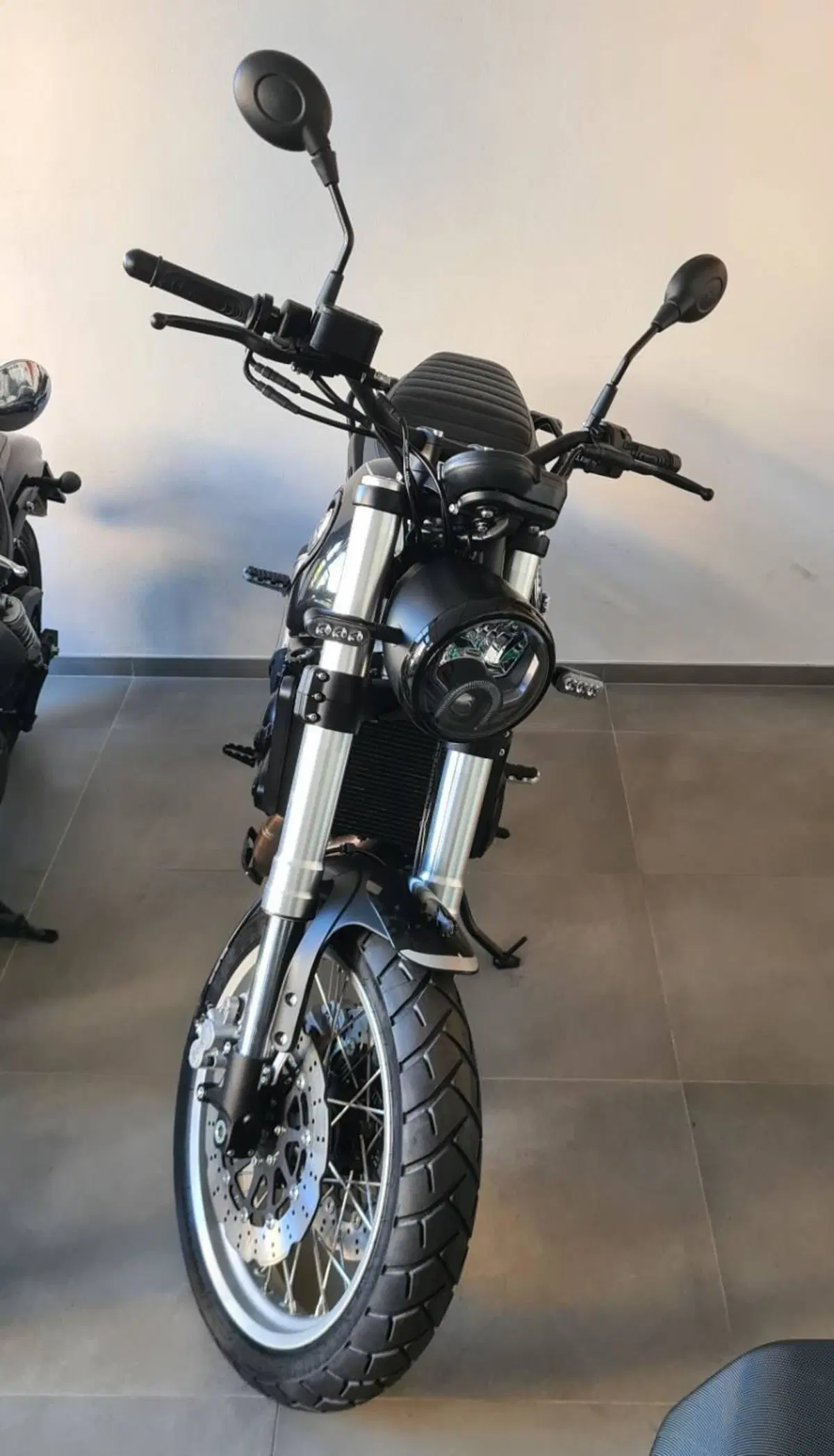 Benelli Leoncino 500 (2021 - 25) (3)