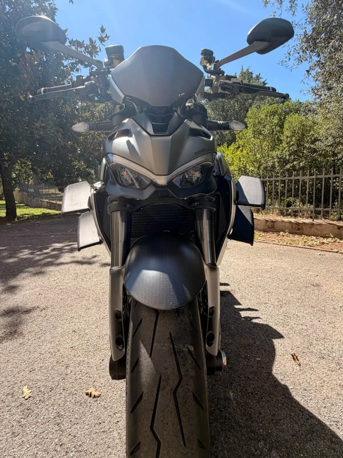 Ducati Streetfighter V2 (2022 - 24) (9)