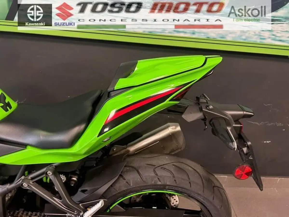 Kawasaki Ninja ZX-4RR (2024 - 26) (7)