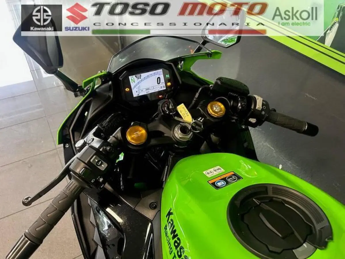 Kawasaki Ninja ZX-4RR (2024 - 26) (9)