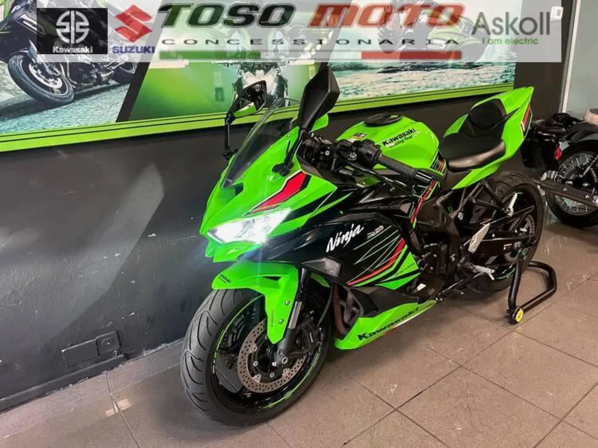 Kawasaki Ninja ZX-4RR (2024 - 26) (11)