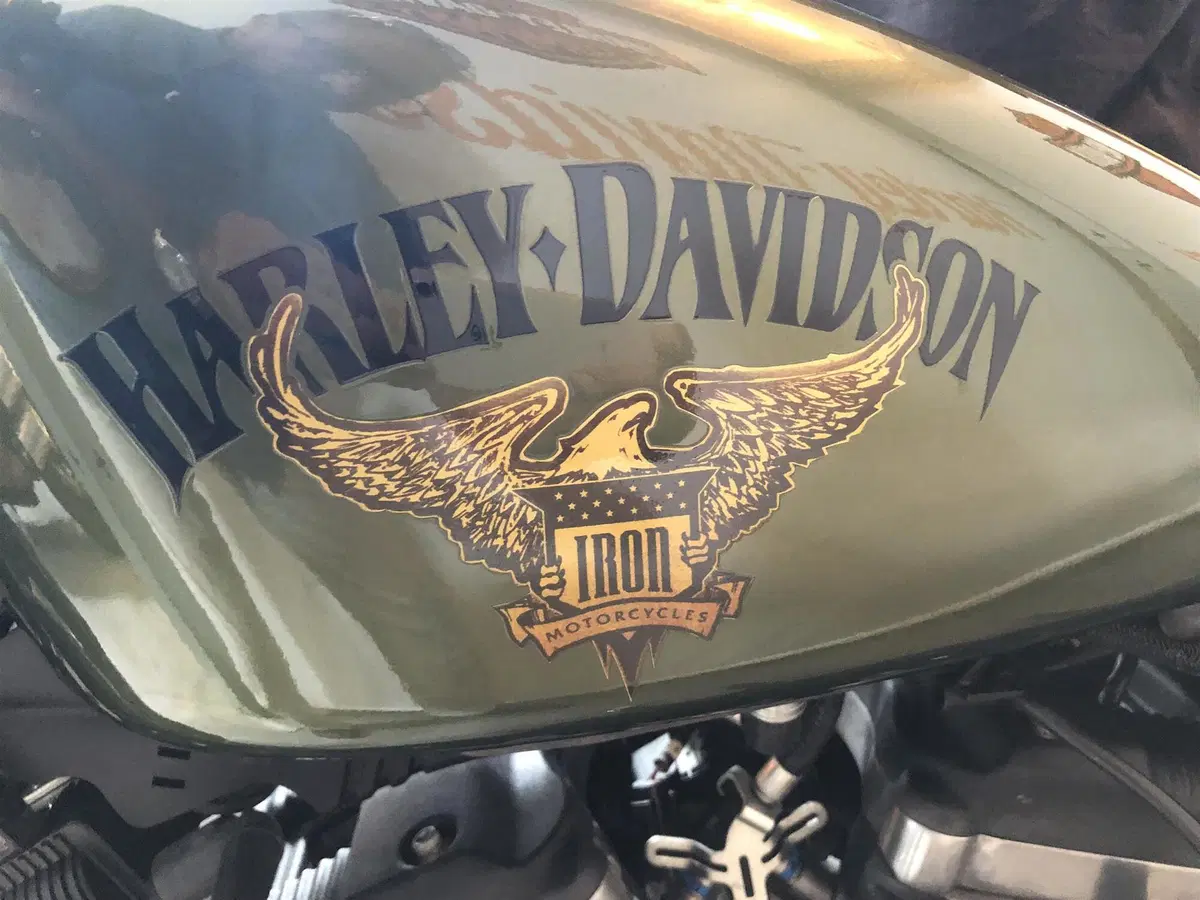 Harley-Davidson 883 Iron (2014 - 16) - XL 883N (5)