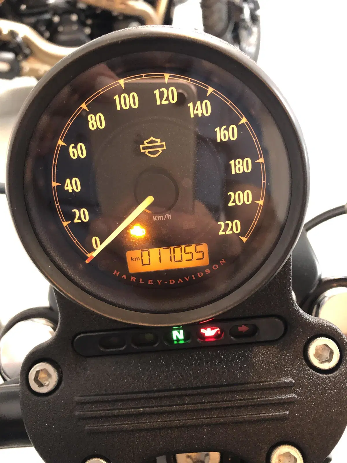 Harley-Davidson 883 Iron (2014 - 16) - XL 883N (4)