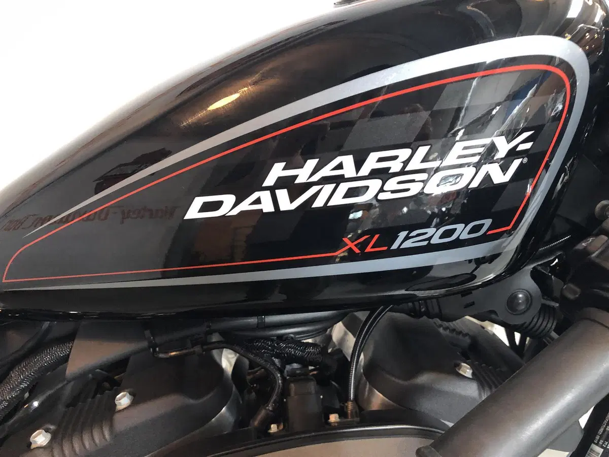 Harley-Davidson 1200 Roadster (2017 - 20) - XL 1200R (3)