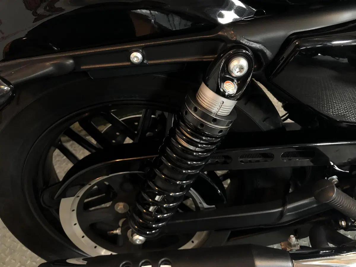 Harley-Davidson 1200 Roadster (2017 - 20) - XL 1200R (4)
