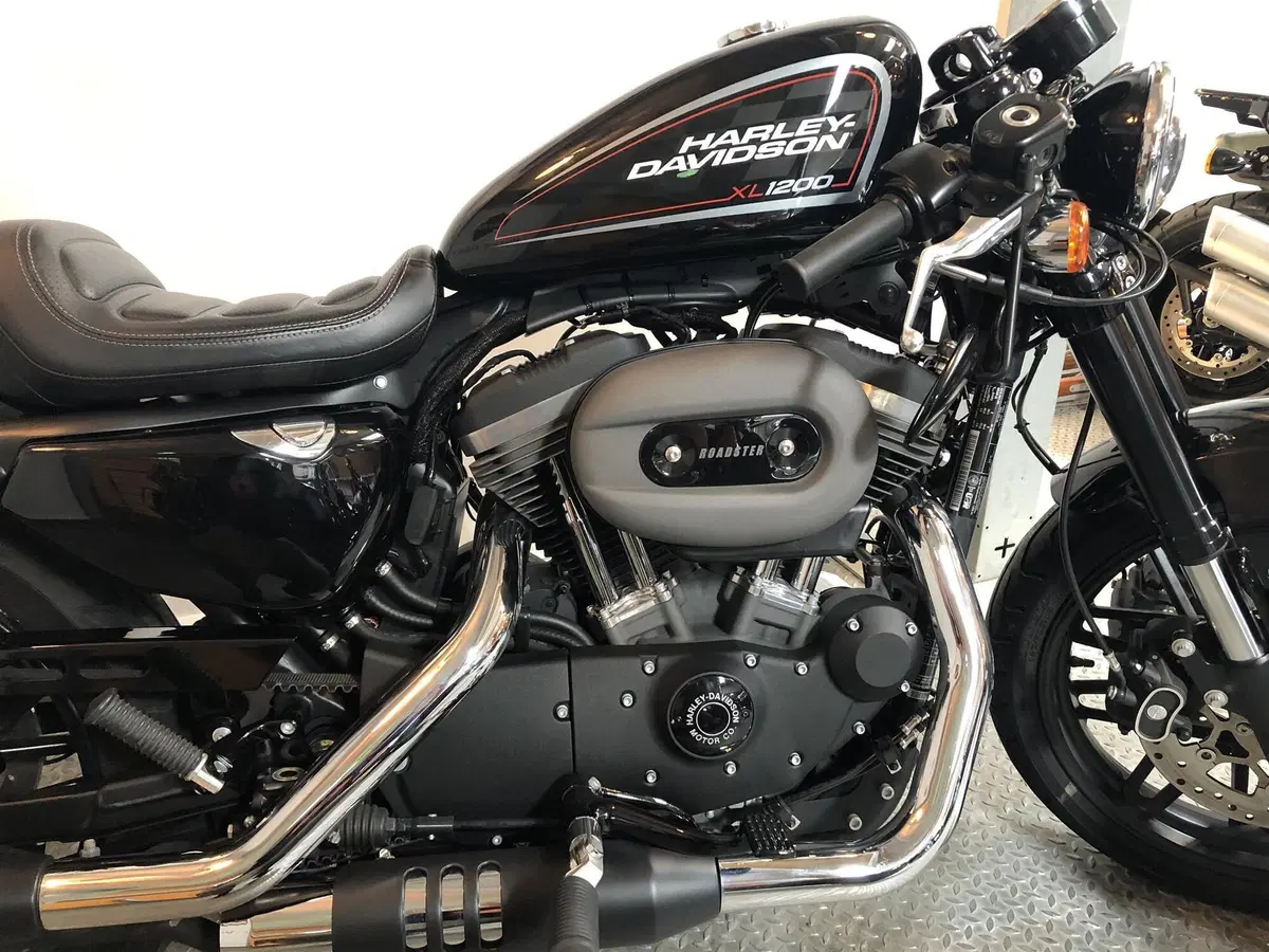 Harley-Davidson 1200 Roadster (2017 - 20) - XL 1200R (2)