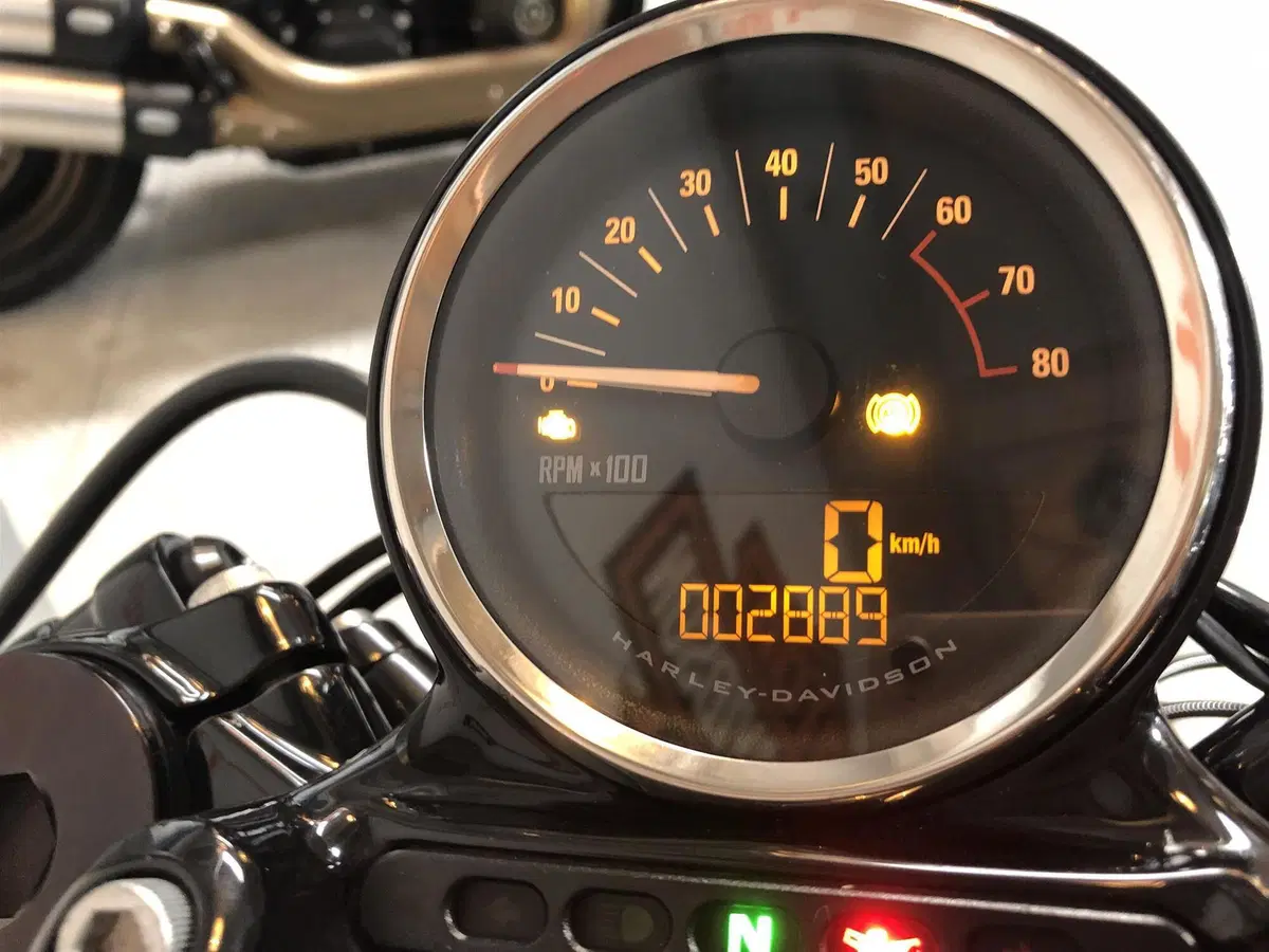 Harley-Davidson 1200 Roadster (2017 - 20) - XL 1200R (5)