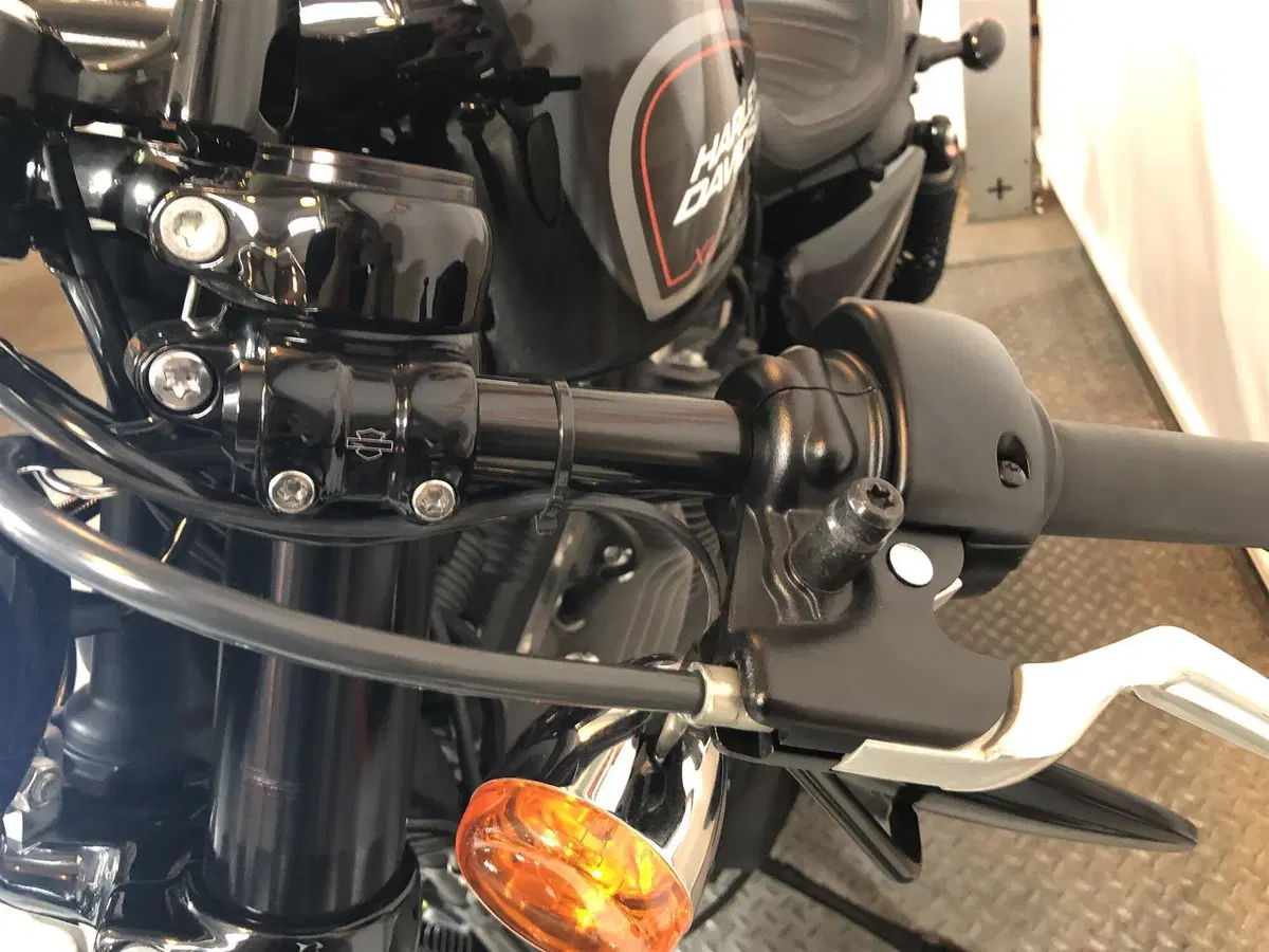 Harley-Davidson 1200 Roadster (2017 - 20) - XL 1200R (8)