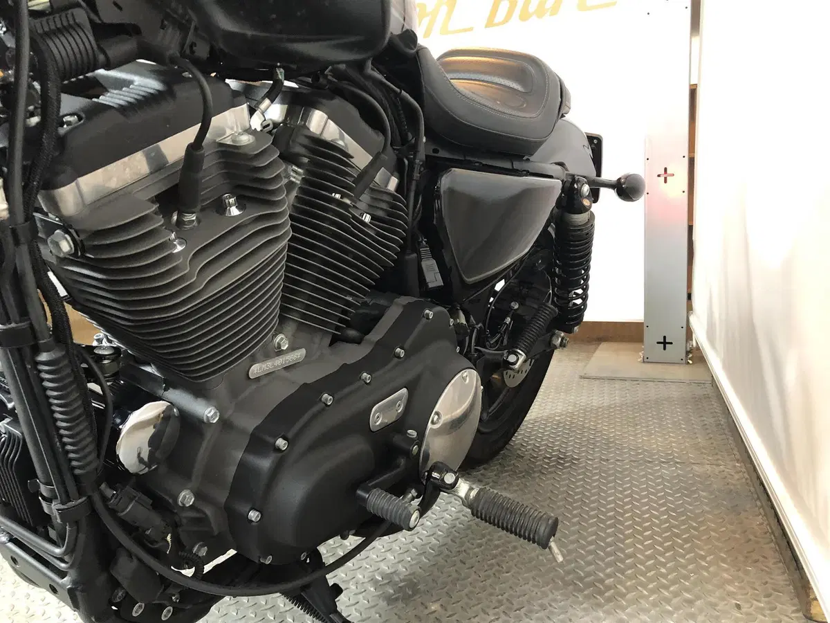 Harley-Davidson 1200 Roadster (2017 - 20) - XL 1200R (7)