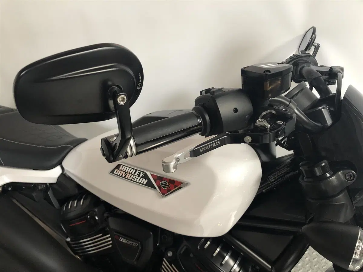 Harley-Davidson Sportster S (2025 - 26) (7)