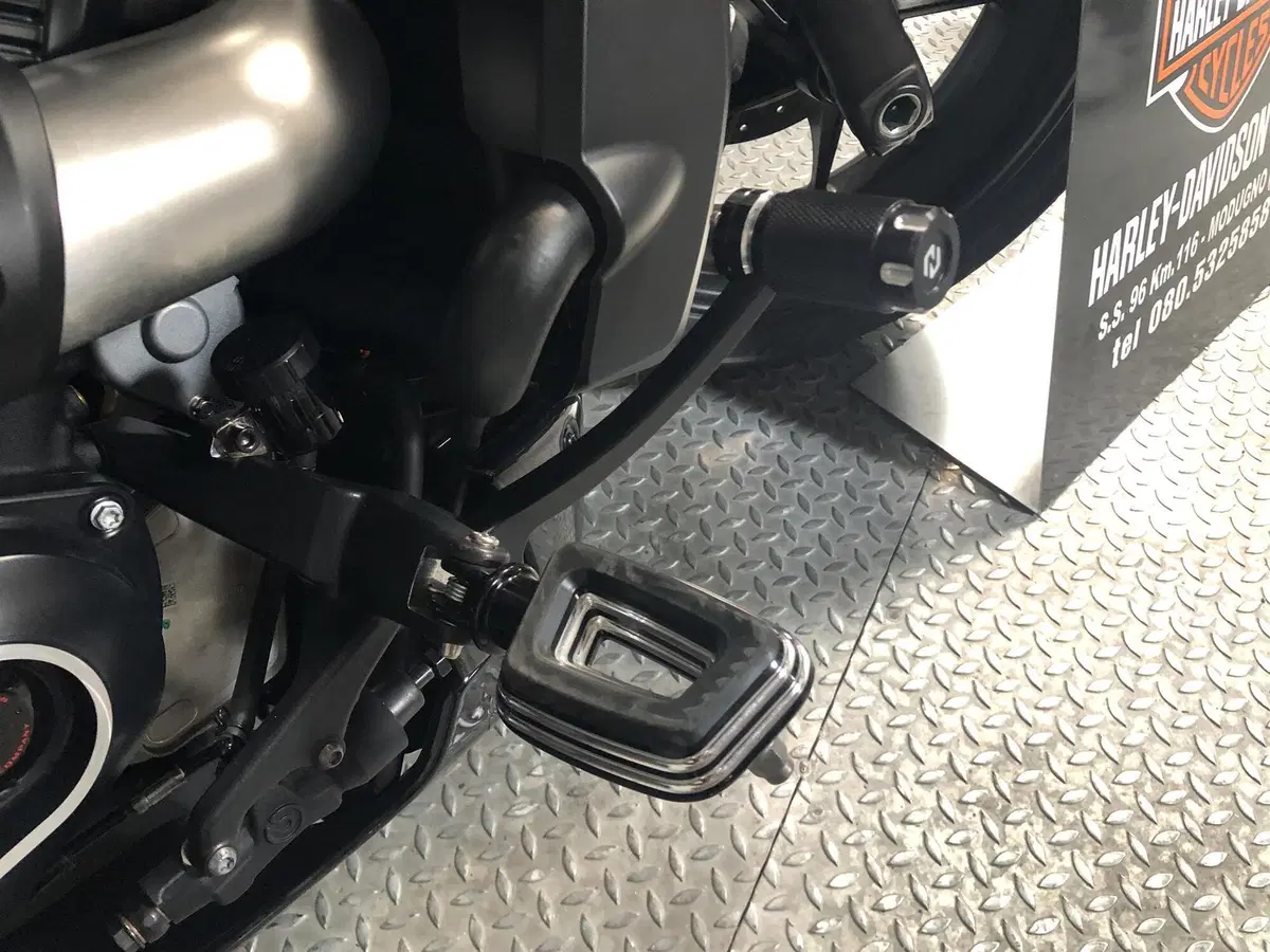 Harley-Davidson Sportster S (2025 - 26) (2)