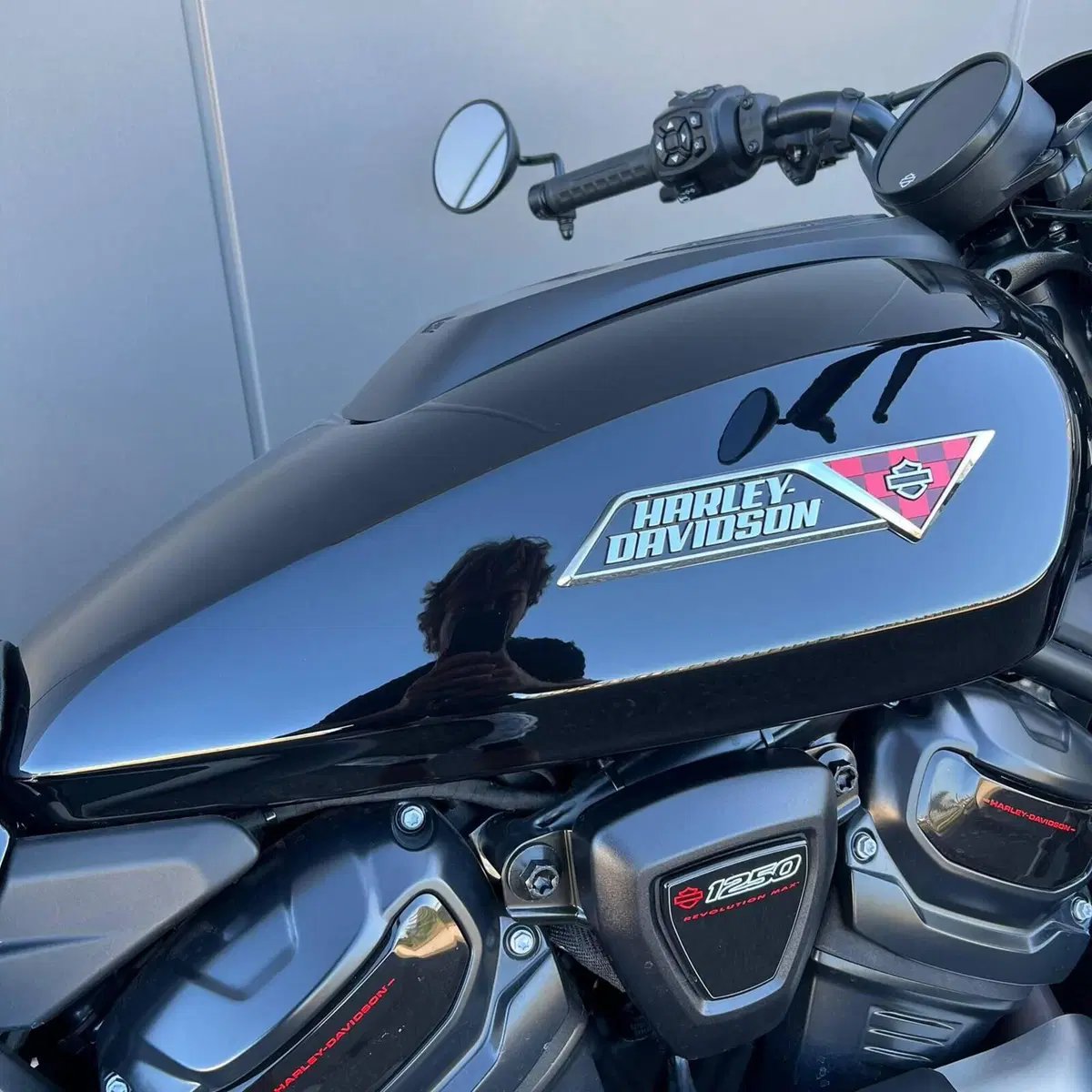 Harley-Davidson Sportster S (2025 - 26) (3)