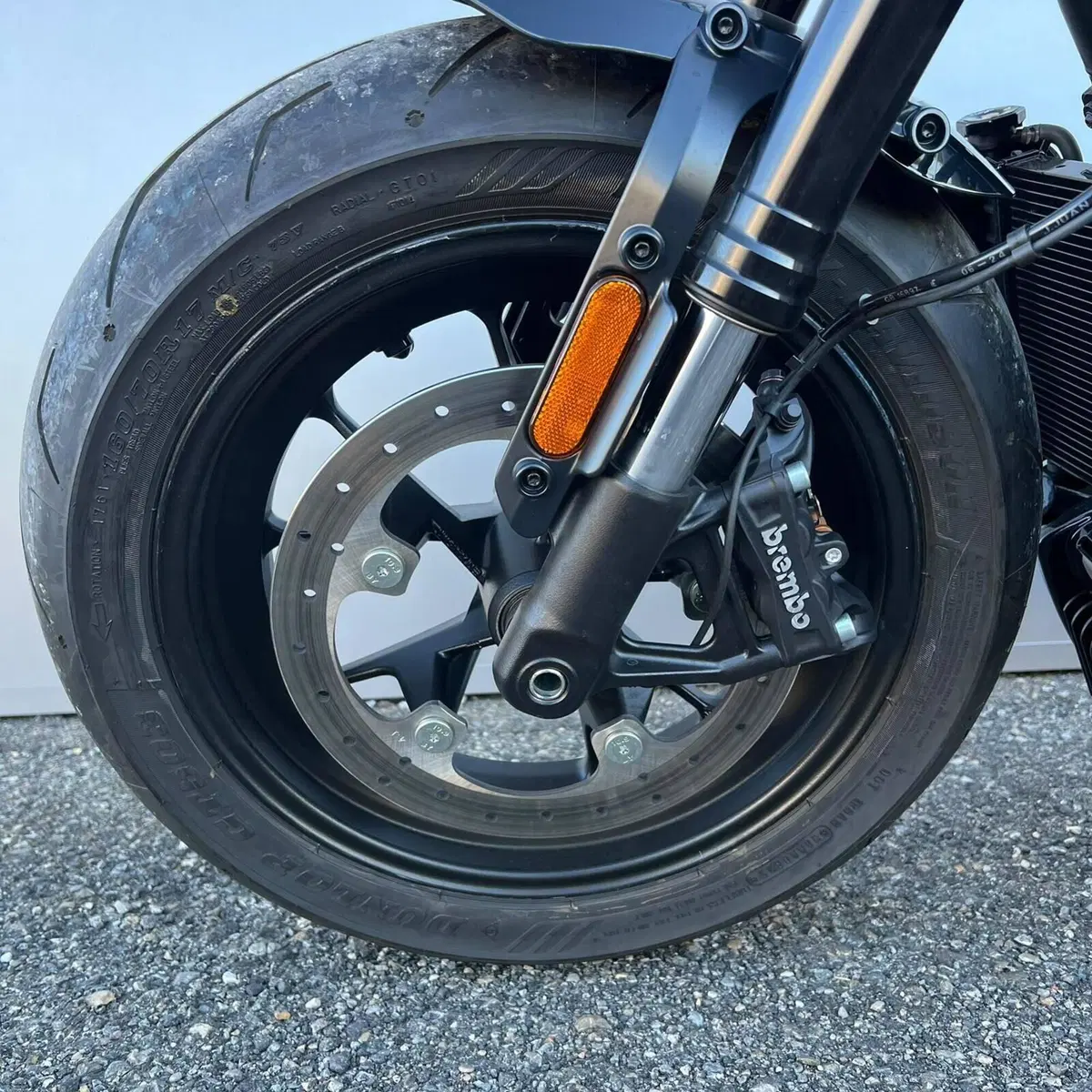Harley-Davidson Sportster S (2025 - 26) (19)