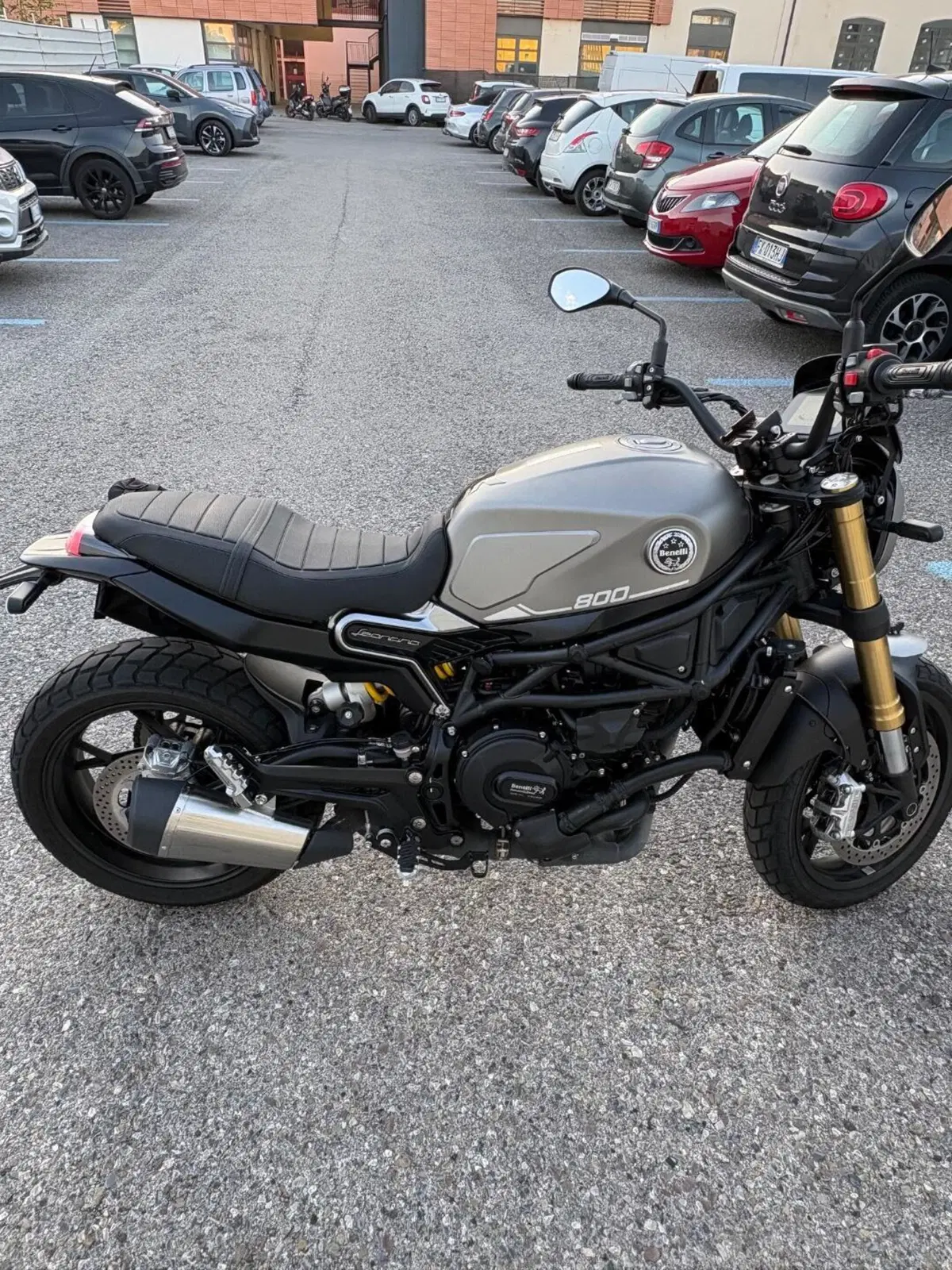 Benelli Leoncino 800 (2022 - 26) (6)
