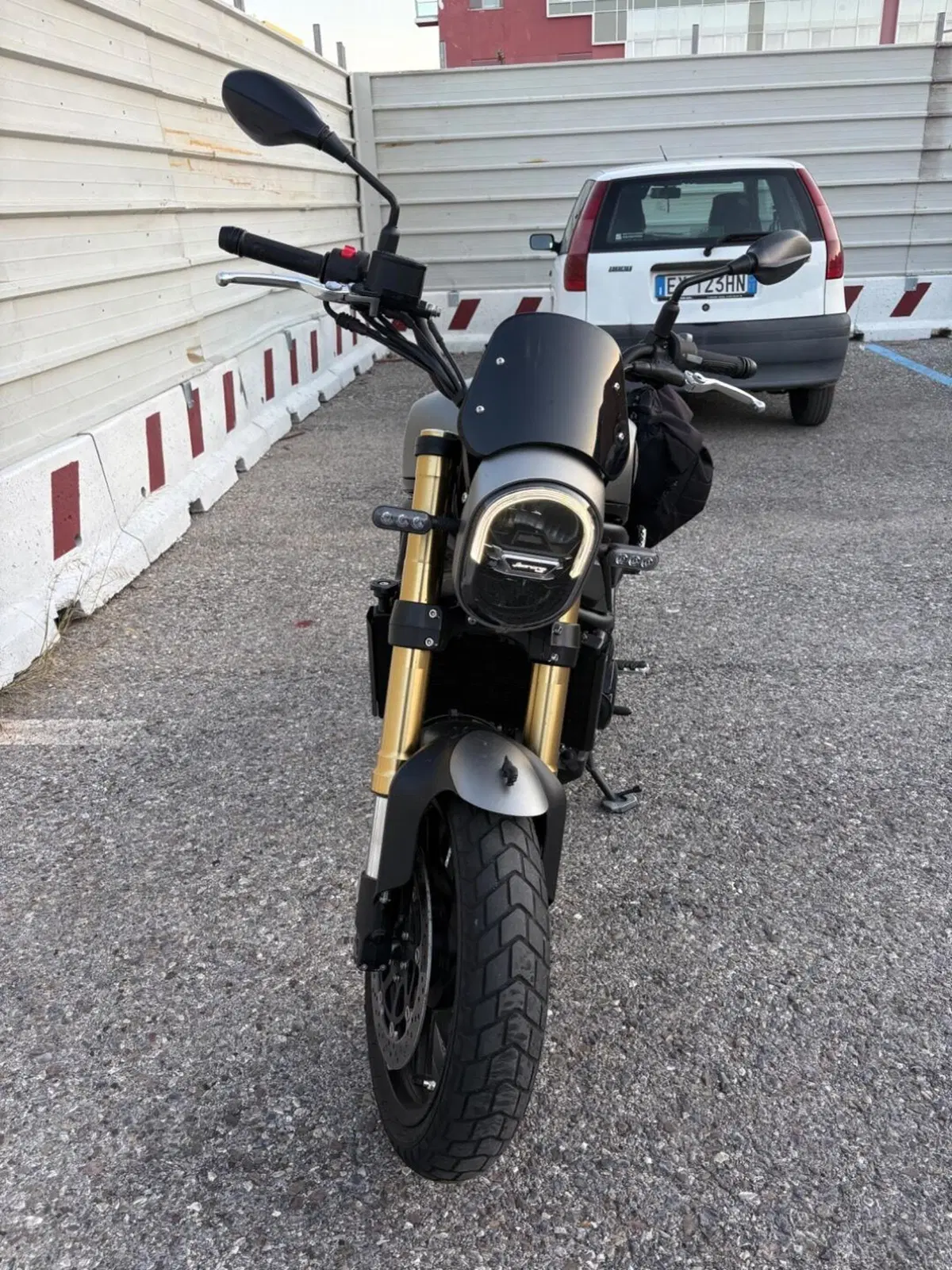 Benelli Leoncino 800 (2022 - 26) (9)