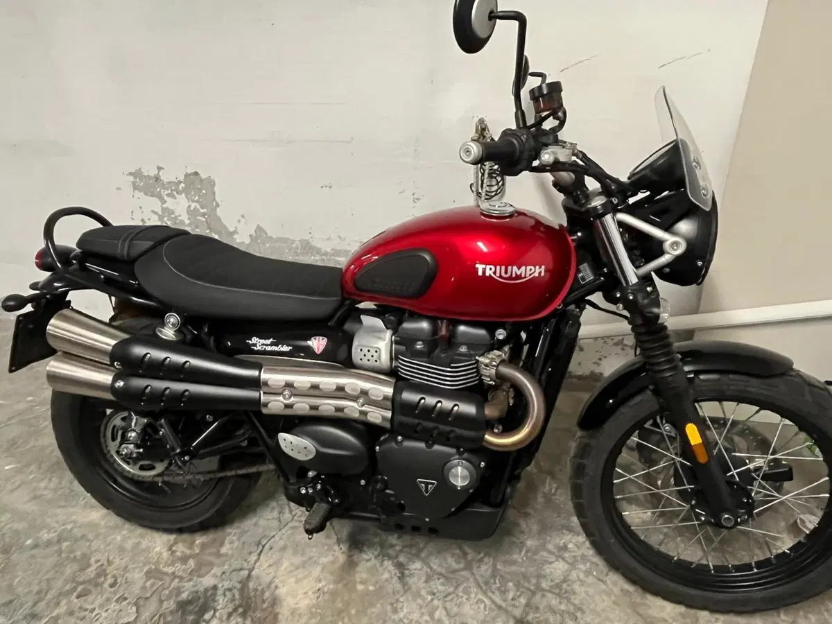 Triumph Street Scrambler 900 (2019 - 20) (2)