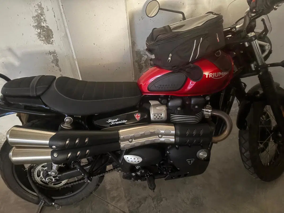 Triumph Street Scrambler 900 (2019 - 20) (6)