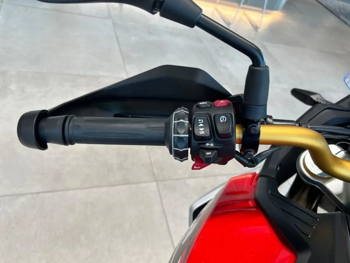Bmw F 450 GS (2026) (7)