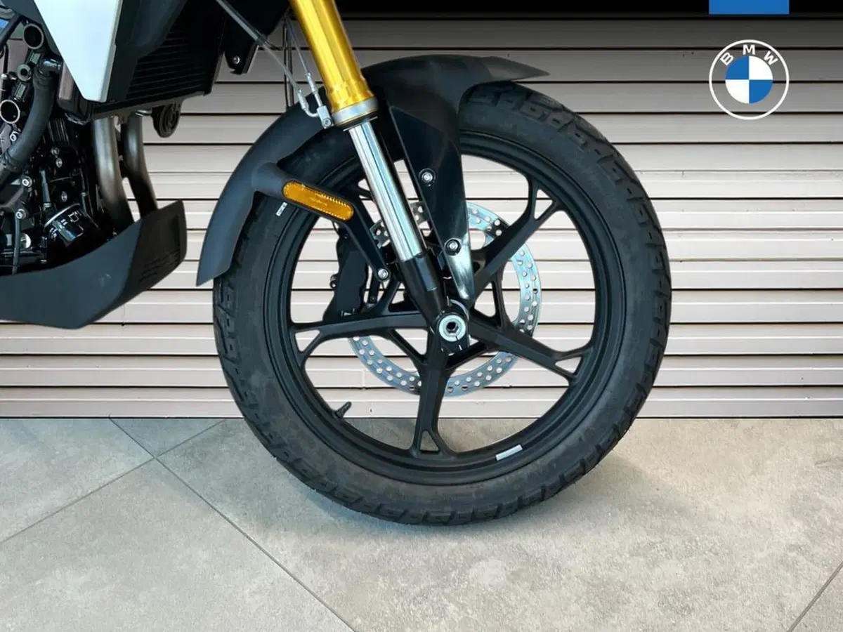 Bmw F 450 GS (2026) (14)