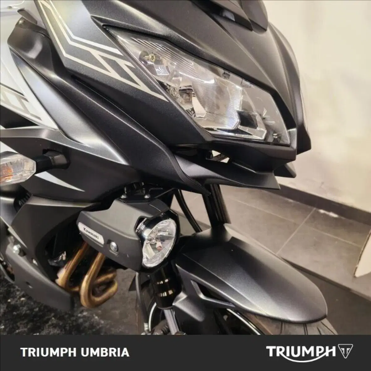 Kawasaki Versys 650 (2017 - 20) (4)