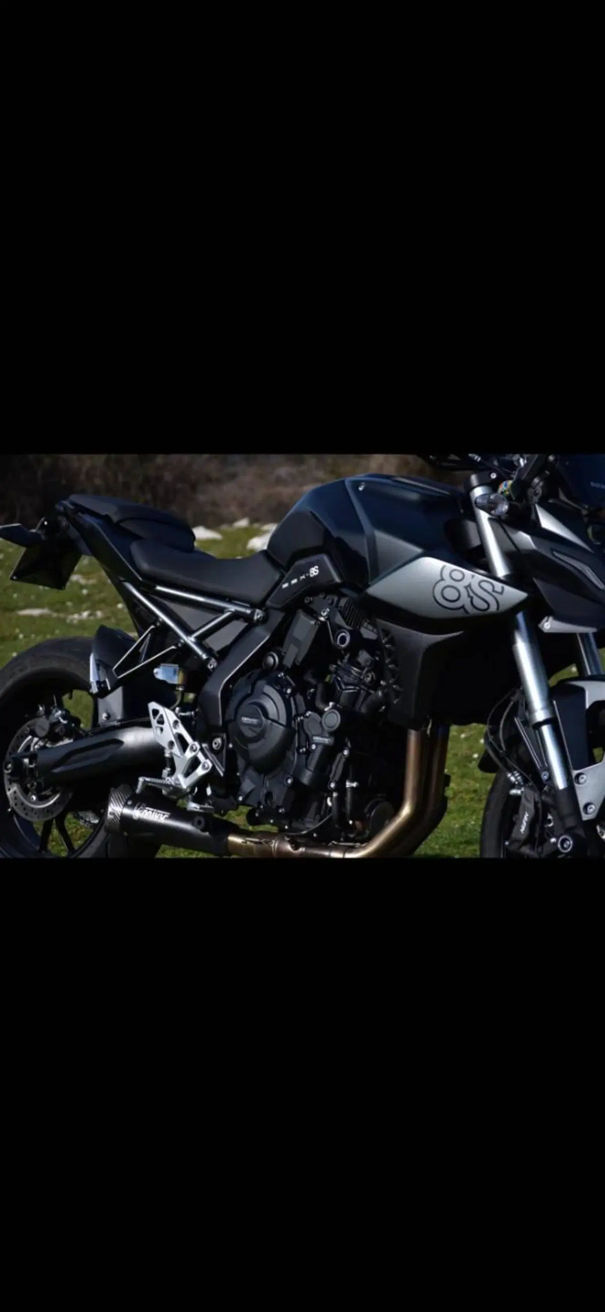 Suzuki GSX-8S (2023 - 24) (2)