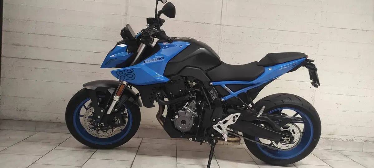 Suzuki GSX-8S (2023 - 24) (2)
