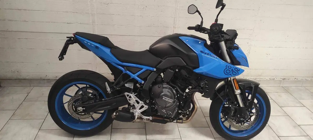 Suzuki GSX-8S (2023 - 24) (3)