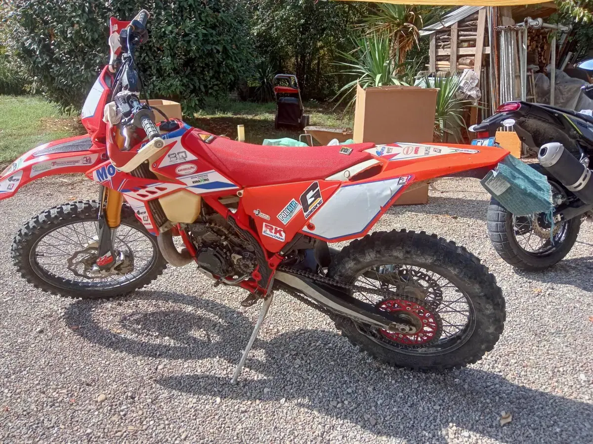Betamotor RR 300 2T Enduro (2016) (2)