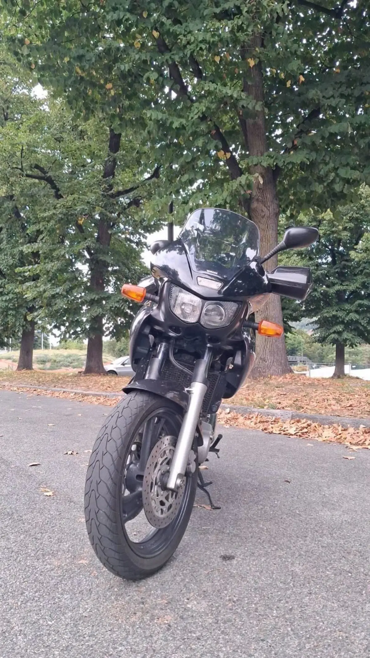 Yamaha TDM 850 (1996 - 01) (5)