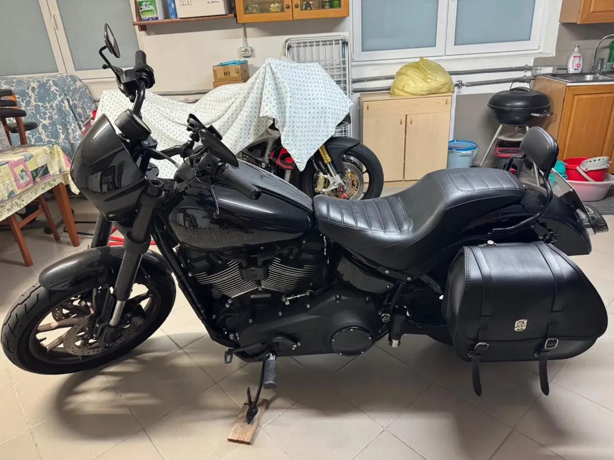 Harley-Davidson 114 Low Rider S (2021) - FXLRS