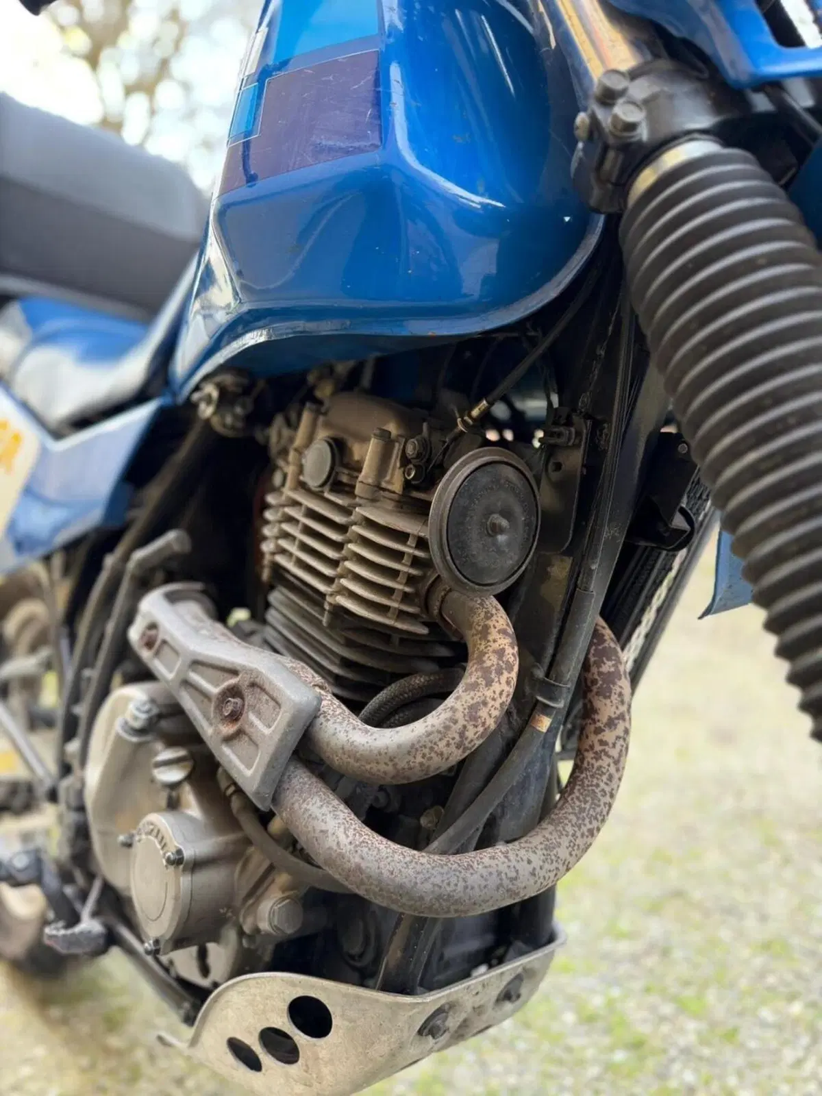 Suzuki Dr 600 R (6)