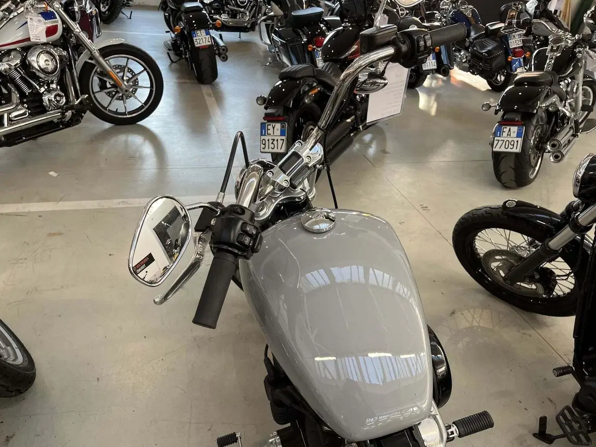 Harley-Davidson Softail Standard (2020) - FXST (3)