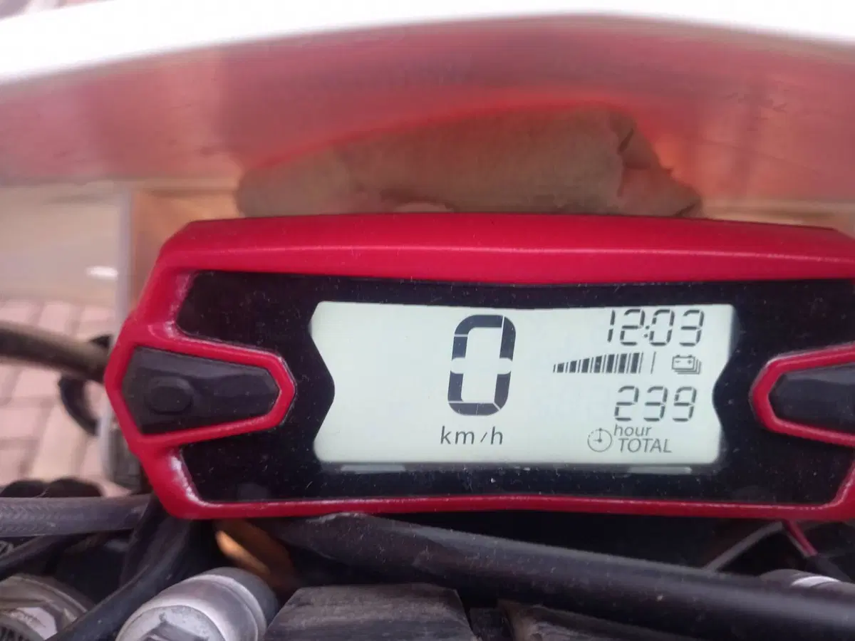 Betamotor Xtrainer 250 2t (2018 - 19) (2)