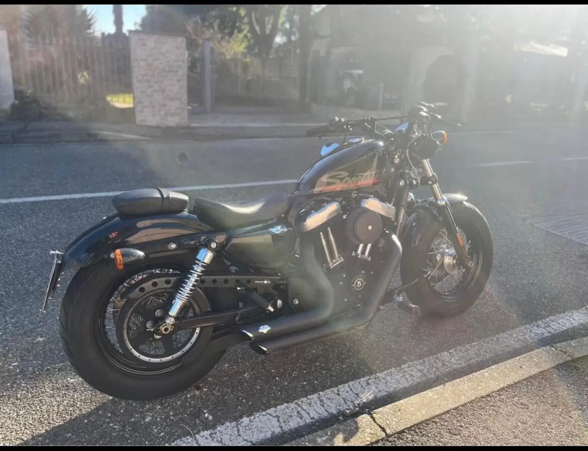 Harley-Davidson 1200 Forty-Eight (2010 - 15) (2)