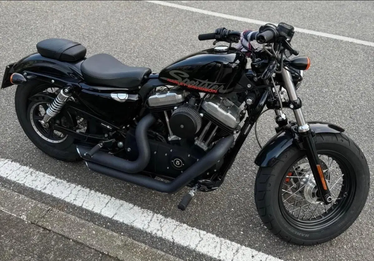 Harley-Davidson 1200 Forty-Eight (2010 - 15) (3)