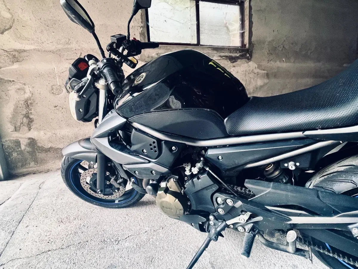 Yamaha XJ6 (2008 - 15) (8)
