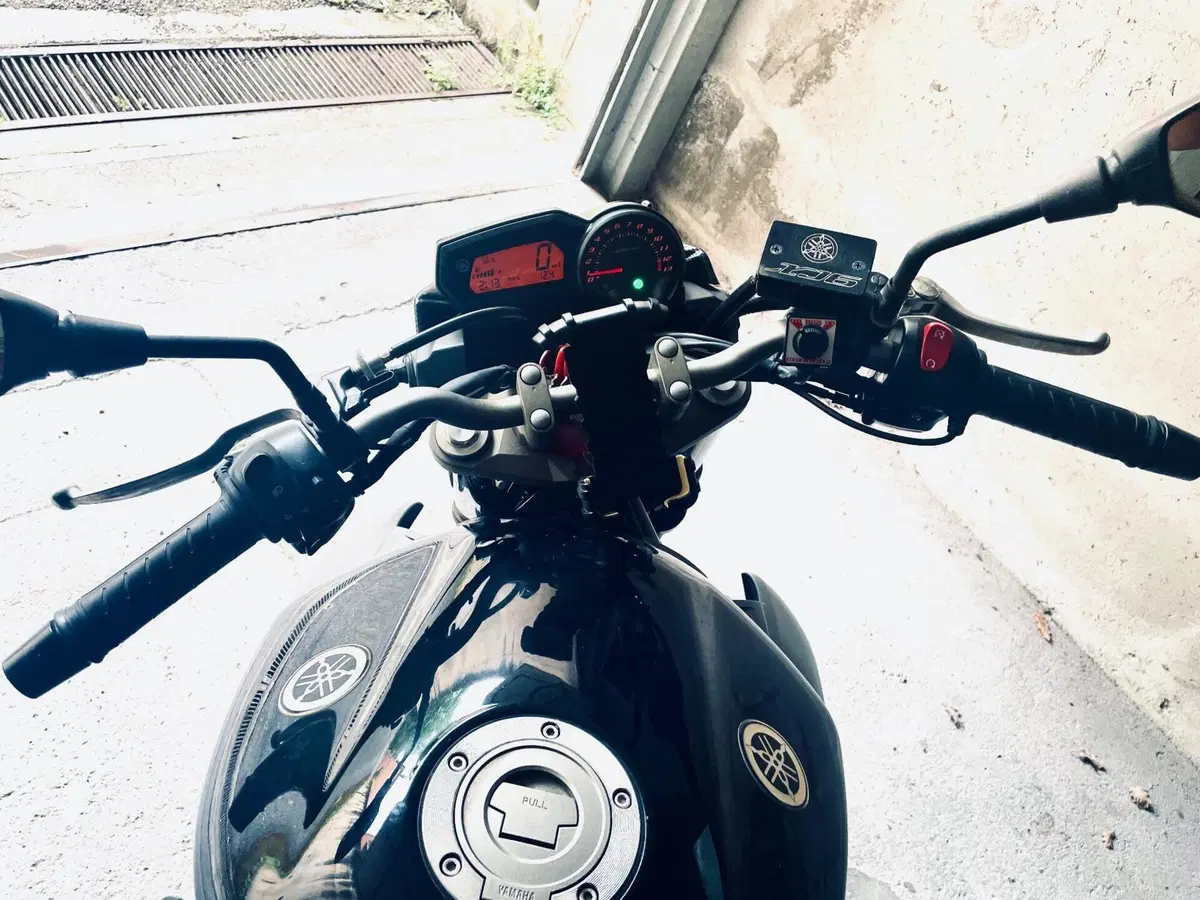 Yamaha XJ6 (2008 - 15) (11)