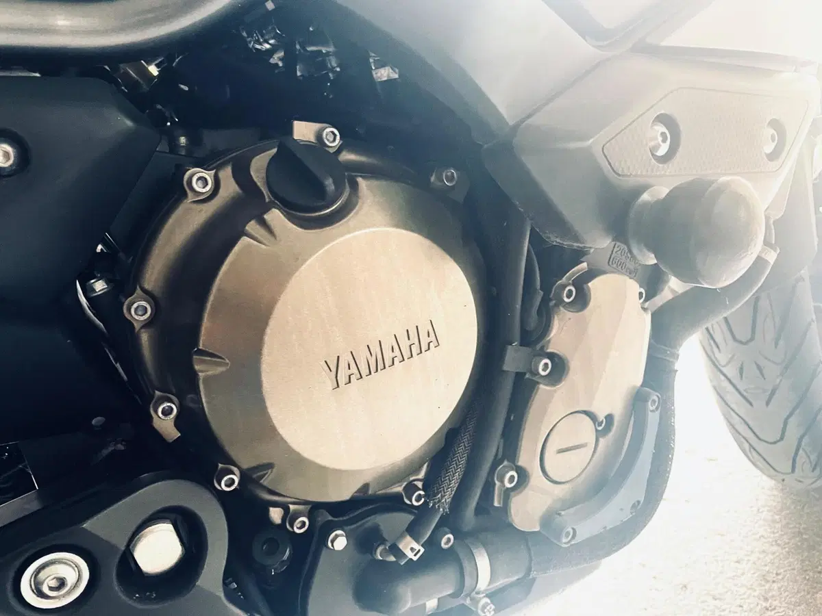 Yamaha XJ6 (2008 - 15) (14)