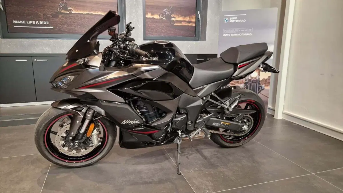 Kawasaki Ninja 1100 SX SE Performance (2025 - 26) (2)