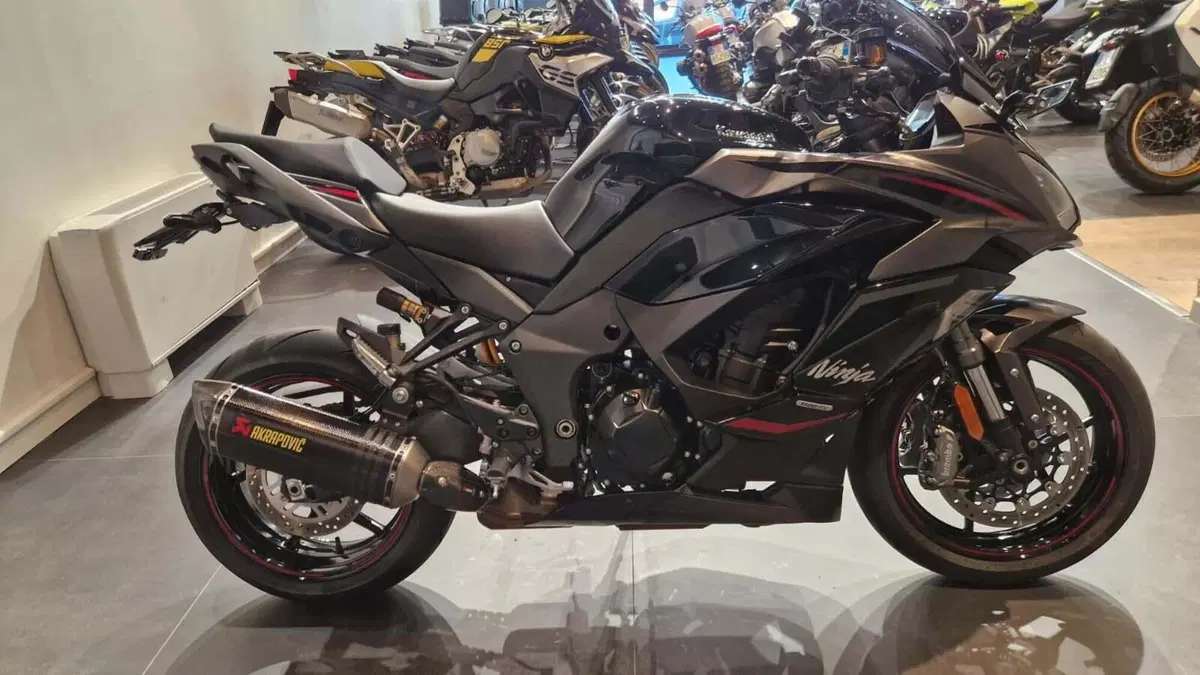 Kawasaki Ninja 1100 SX SE Performance (2025 - 26) (4)