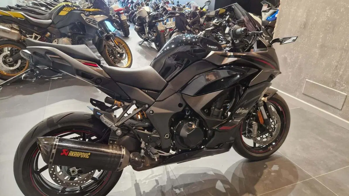 Kawasaki Ninja 1100 SX SE Performance (2025 - 26) (5)