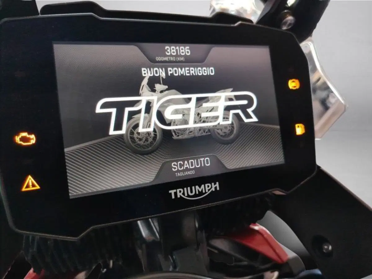 Triumph Tiger 900 GT Pro (2020 - 23) (12)