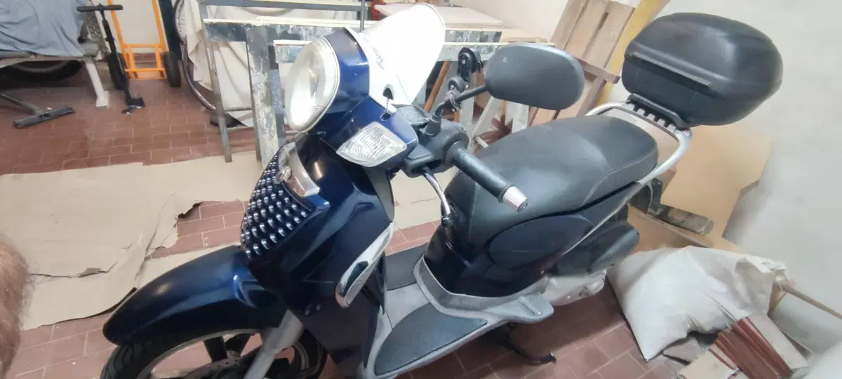 Aprilia Scarabeo 250 (2006 - 11) (8)