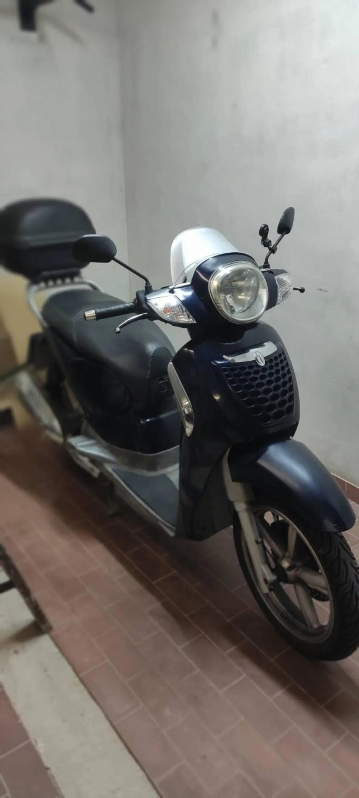 Aprilia Scarabeo 250 (2006 - 11) (10)