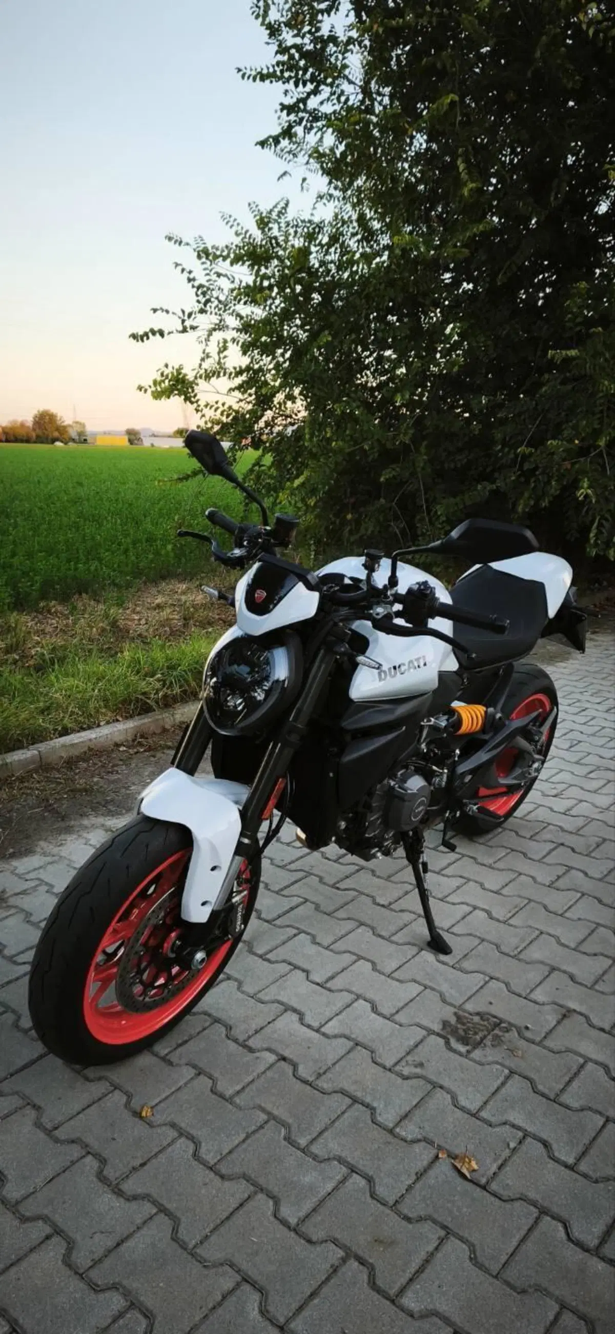 Ducati Monster 890 + (2026) (3)
