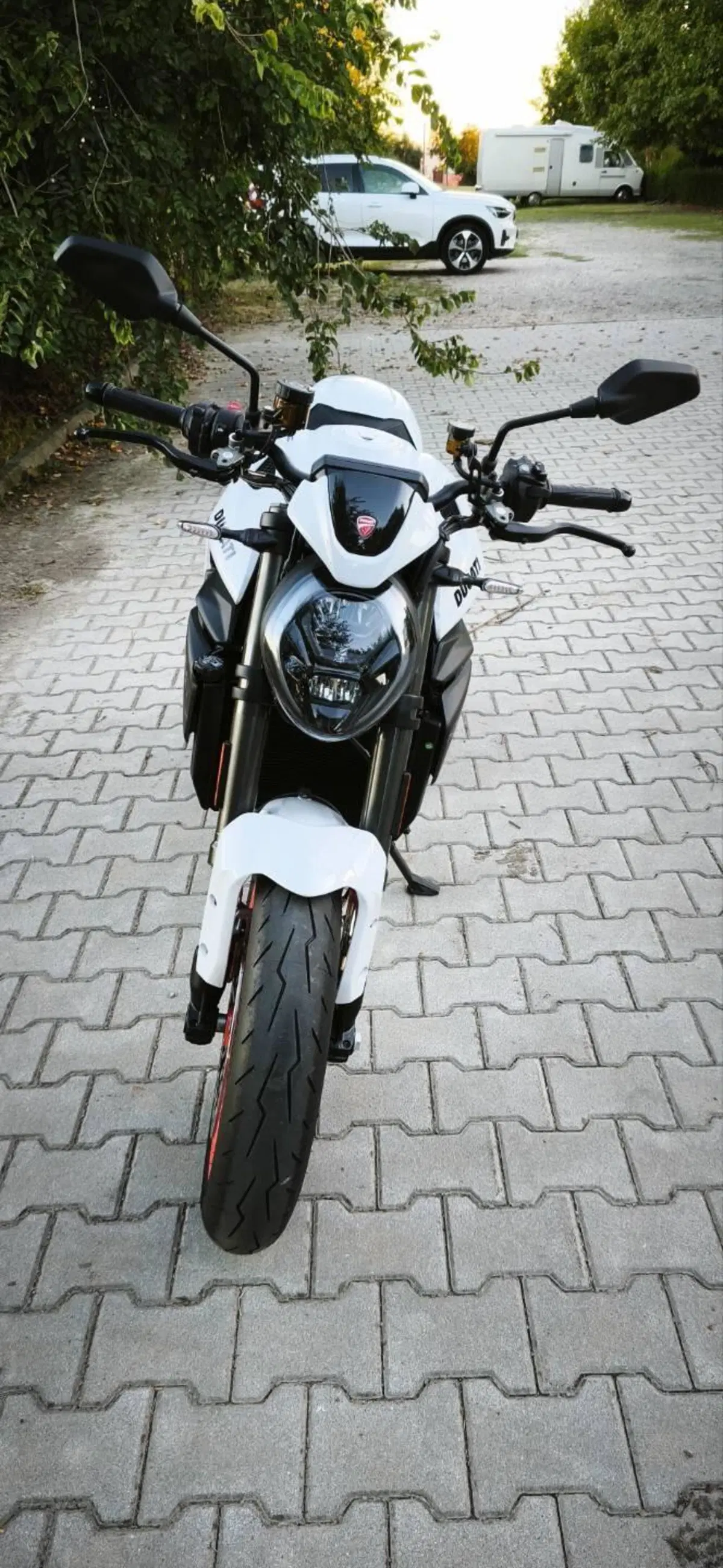 Ducati Monster 890 + (2026) (4)