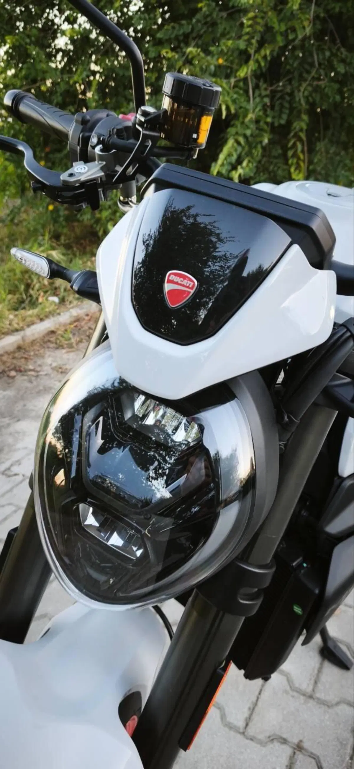Ducati Monster 890 + (2026) (5)