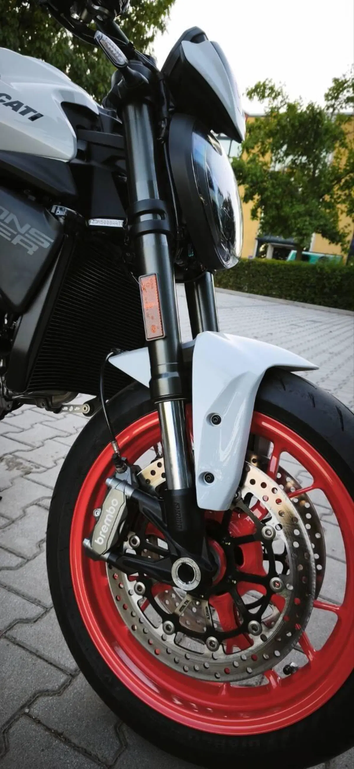 Ducati Monster 890 + (2026) (6)