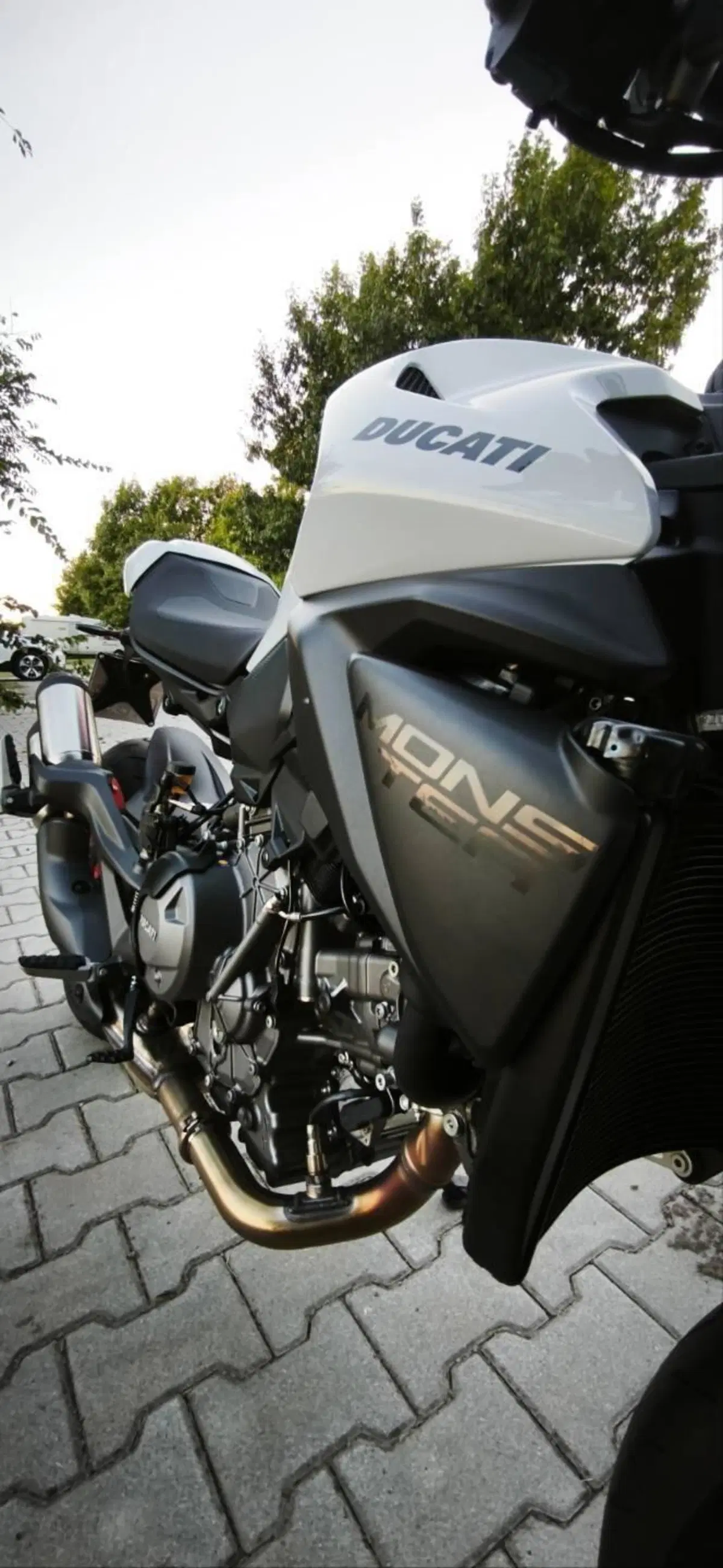 Ducati Monster 890 + (2026) (7)