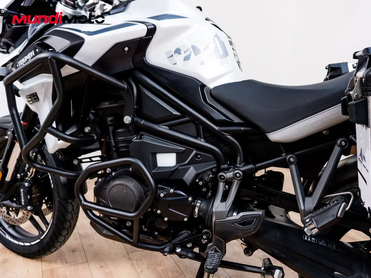 Triumph Tiger 1200 Alpine Edition (2020) (10)